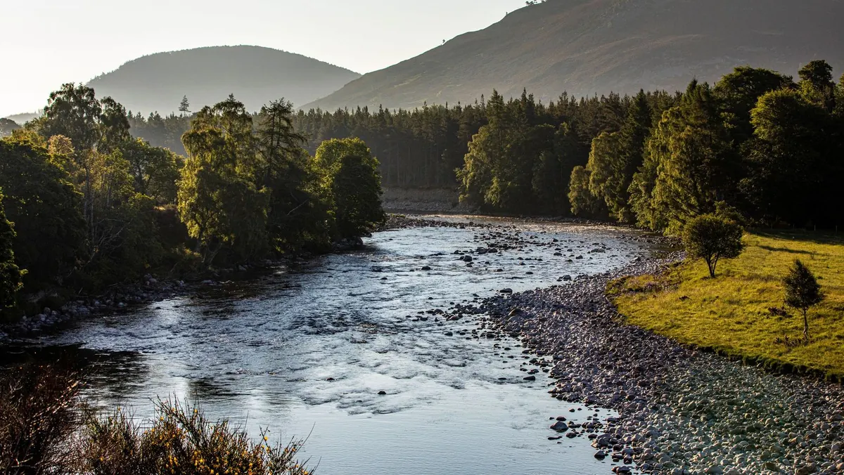 The River Dee at a bend in the estate