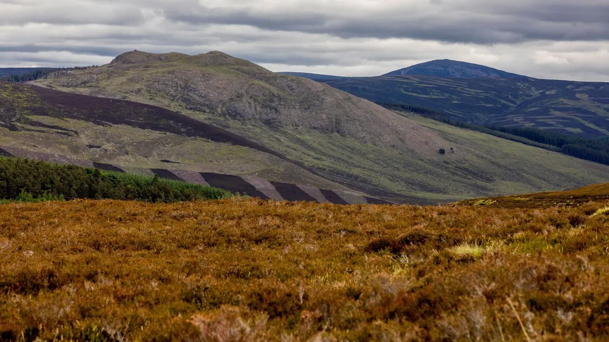 Heather moorland under the hills