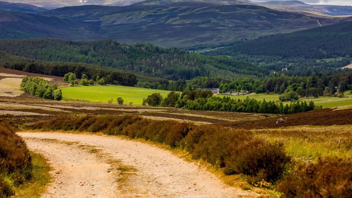 Estate track across the moor