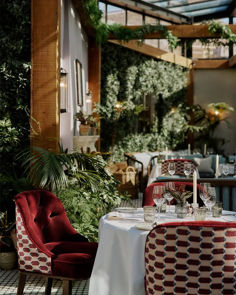 Conservatory dining among the plants