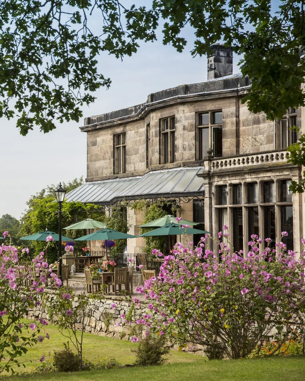 Hotel garden in summer